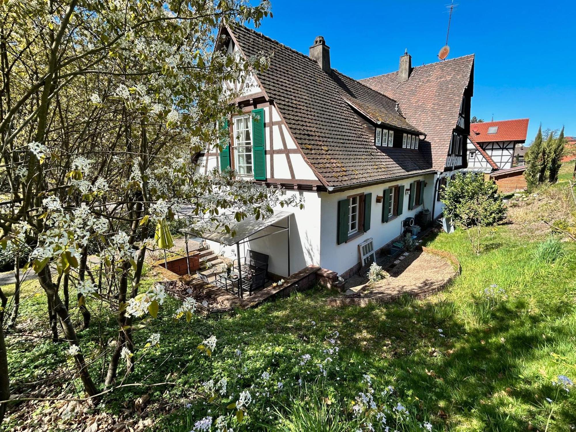 Ferienwohnung Am Keschtebaum, 70Qm ザスバッハヴァルデン エクステリア 写真